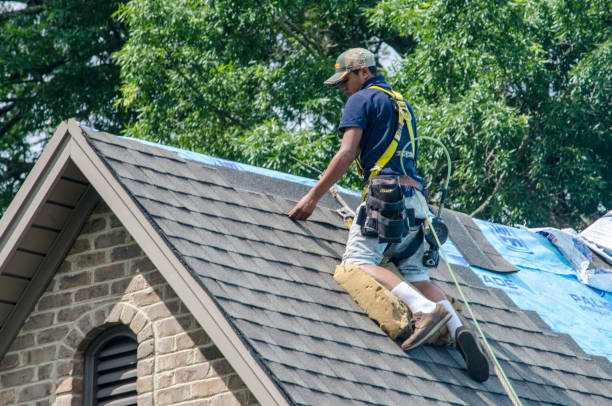 Best Gutter Installation and Roofing  in Manchester, OH